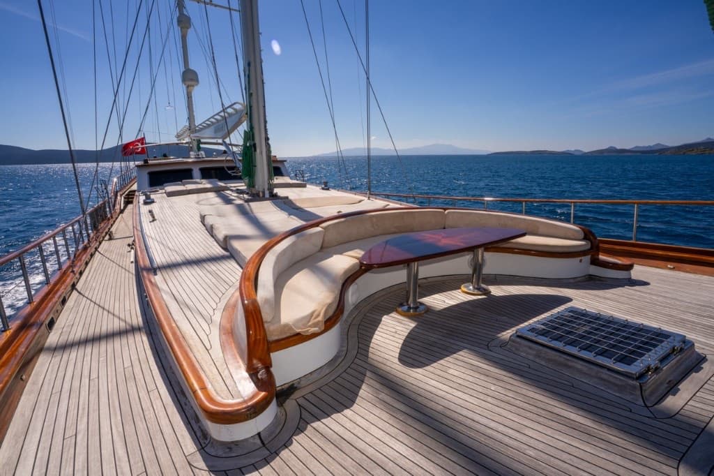 New Cruise Offers